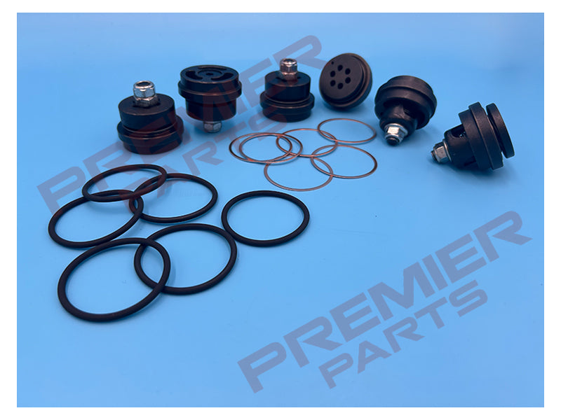 HW25 Valve Assembly c/w O-Rings & Copper Gaskets